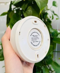 Cảm biến khói thông minh là thiết bị có thể phát hiện khói và gửi cảnh báo nguy cơ cháy về điện thoại di động. Hoạt động trong hệ sinh thái nhà thông minh (smarthome), dữ liệu từ cảm biến báo khói có thể kích hoạt kịch bản phòng cháy thông minh như bật máy bơm, mở van điện, mở rèm, bật còi hú to và gửi cảnh báo qua điện thoại cho những người trong cùng nhà, hoặc cho từng hộ liên gia trong khu phố.