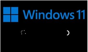 Hoá ra "vòng tròn loading" của Windows 11 ẩn chứa bí mật ít ai biết